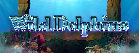 news.header_image.8896